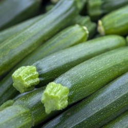 Courgette