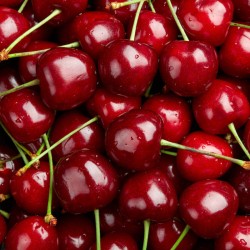 Cerise