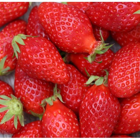2 Fraises