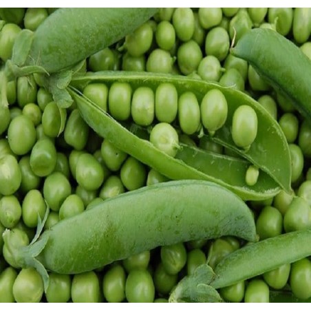 Petit pois